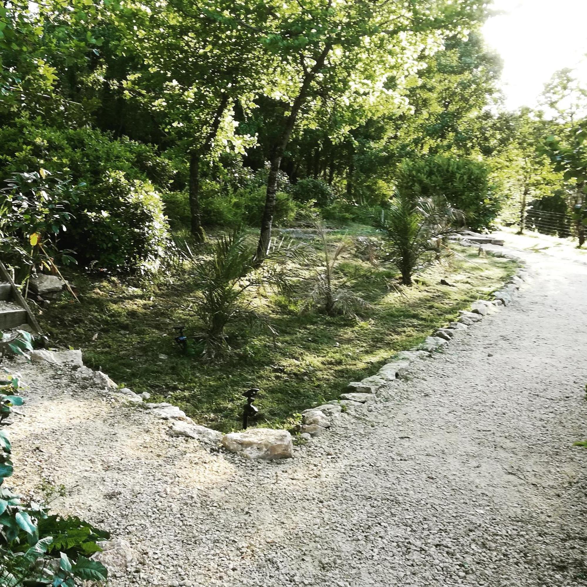 Bed and Breakfast La Source Saint-Cybranet Exterior foto