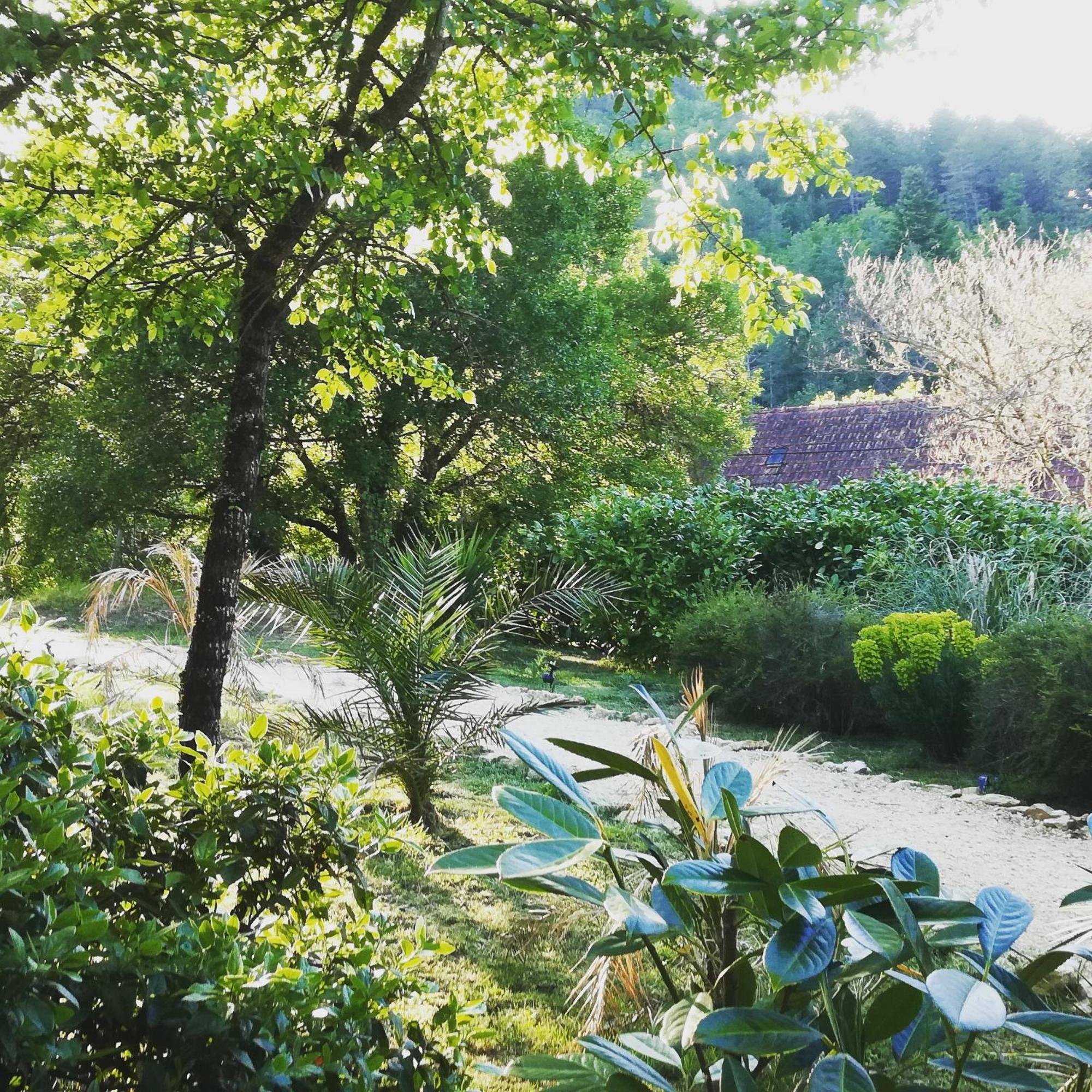 Bed and Breakfast La Source Saint-Cybranet Exterior foto